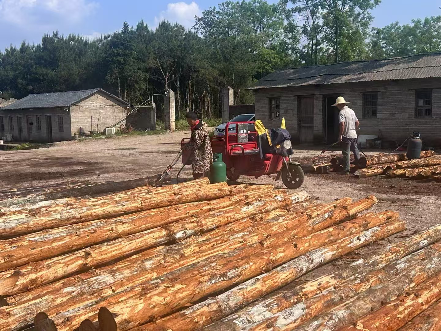 松木樁批發(fā)廠家泓樺錦嘉-圍堰松木樁為什么要交錯排列？