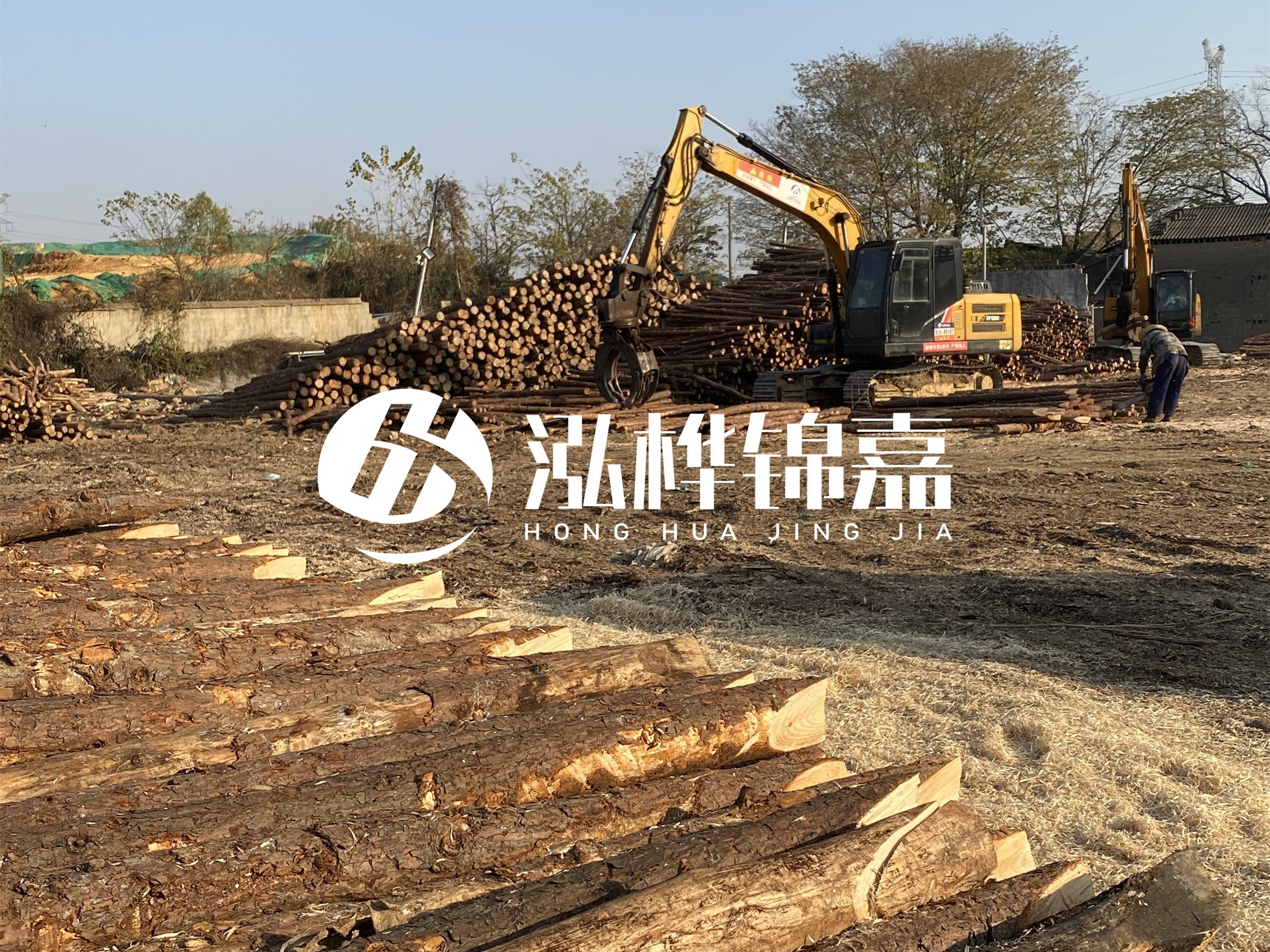 松木樁批發(fā)廠家泓樺錦嘉-松木樁廠家能開發(fā)票嗎？