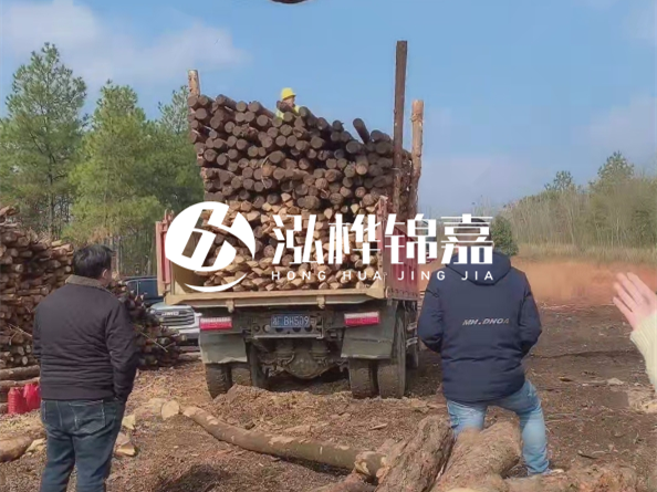 松木樁廠家泓樺錦嘉-存放超過(guò)半年的原木松木樁還能用嗎？