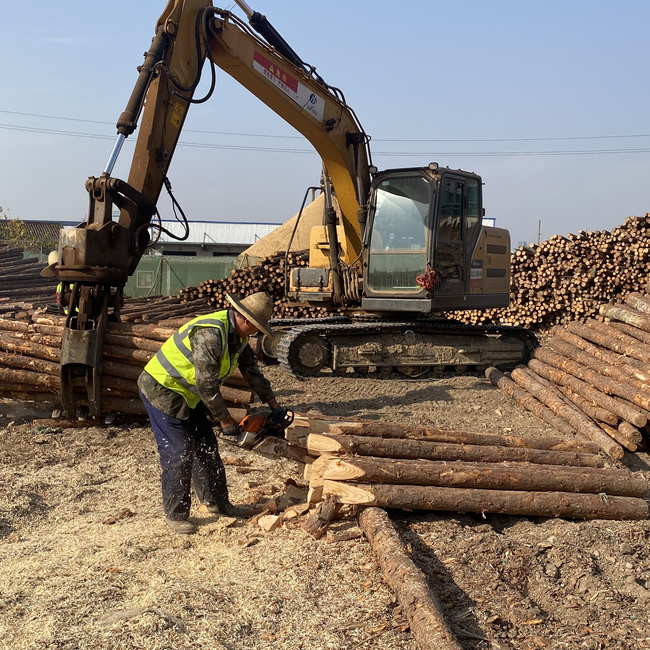 松木樁廠家泓樺錦嘉-工程打樁木選擇落葉松還是濕地松更耐腐蝕？