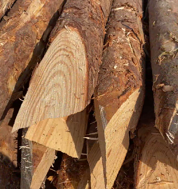 松木樁施工隊(duì)泓樺錦嘉 - 原木松木樁的最低起訂量是多少？