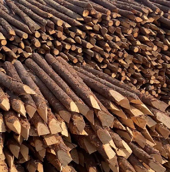 松木樁施工隊(duì)泓樺錦嘉 - 河道駁岸樁的檢測標(biāo)準(zhǔn)是什么？